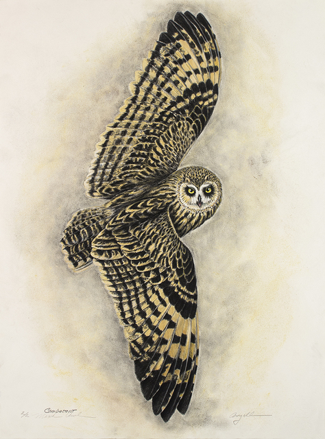Tony Angell, ‘Combatant’, 2021, Drawing, Collage or other Work on Paper, Lithograph with hand painting, Foster/White Gallery