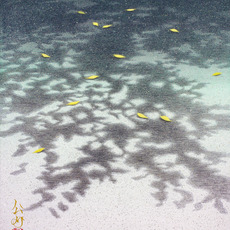Kosuke Karimata