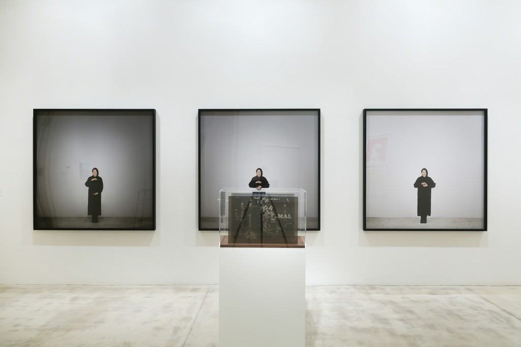 courtesy Galerie Krinzinger / photo Tamara Rametsteiner courtesy Galerie Krinzinger / photo Tamara Rametsteiner