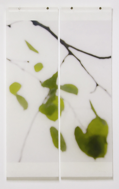 Jeri Eisenberg, ‘Quaking Ash No. 2’, 2008, Carrie Haddad Gallery