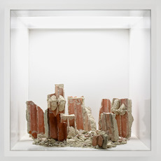 Zvi Hecker