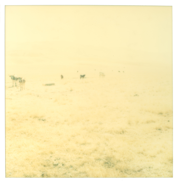 Stefanie Schneider, ‘Untitled’, 2004, Photography, Analog C-Print, hand-printed by the artist on Fuji Crystal Archive Paper, based on a Polaroid, not mounted, Instantdreams