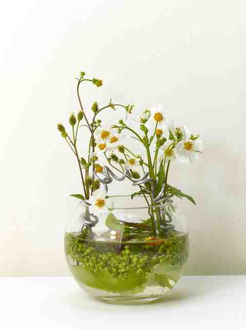 Yahui Wang, ‘A work for a building plot: Make a flower arrangement for me ’, 2011, TKG+