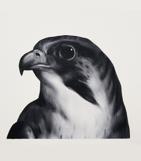 Shelley Reed, ‘Falcon (after Landseer)’, Painting, Visions West Contemporary