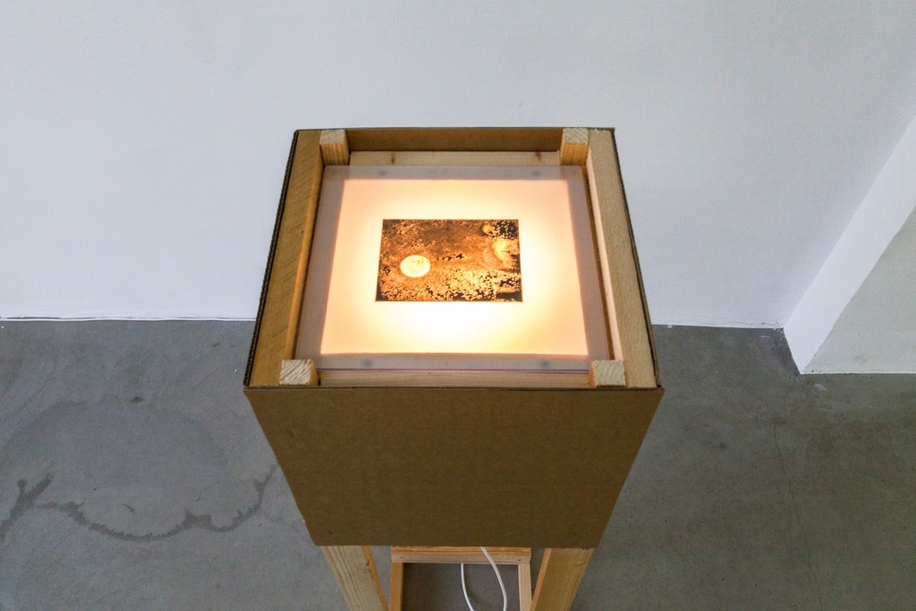 Karel Doing, salt treated negative, installation, 2013 | image: ©dasesszimmer Karel Doing, salt treated negative, installation, 2013 | image: ©dasesszimmer