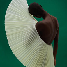 Gavin Goodman