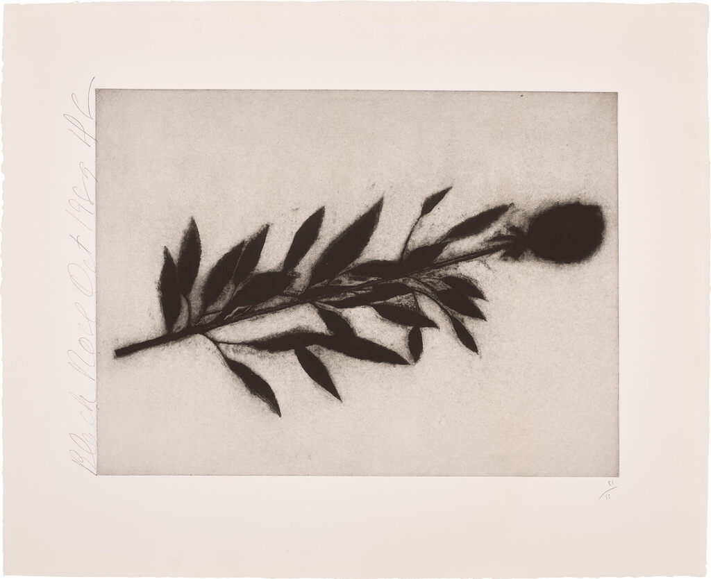 Donald Sultan - Black Rose, Oct., 1989, from Black Roses