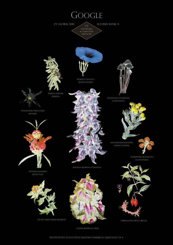 Image: Suzanne Treister, HFT The Gardener/Botanical Prints/Rank 4: Google - US - Software & computer services, 2014-15 Image: Suzanne Treister, HFT The Gardener/Botanical Prints/Rank 4: Google - US - Software & computer services, 2014-15