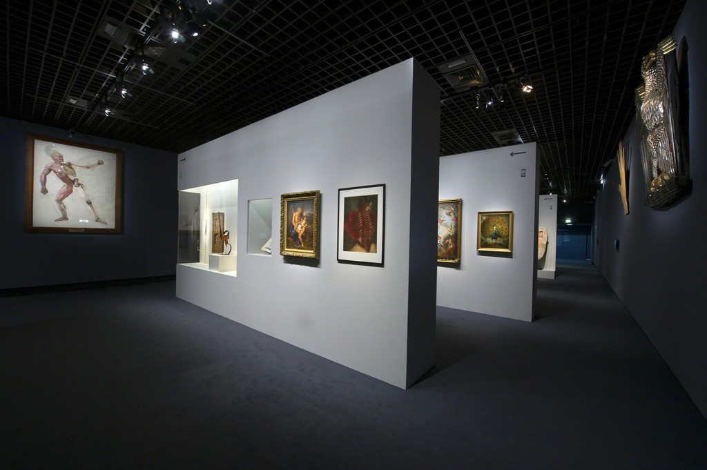 Vue de l’exposition Carambolages Scénographie Hugues Fontenas Architecte © Rmn-Grand Palais / Photo Didier Plowy, Paris 2016 Vue de l’exposition Carambolages Scénographie Hugues Fontenas Architecte © Rmn-Grand Palais / Photo Didier Plowy, Paris 2016
