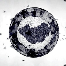 Ding Shiwei