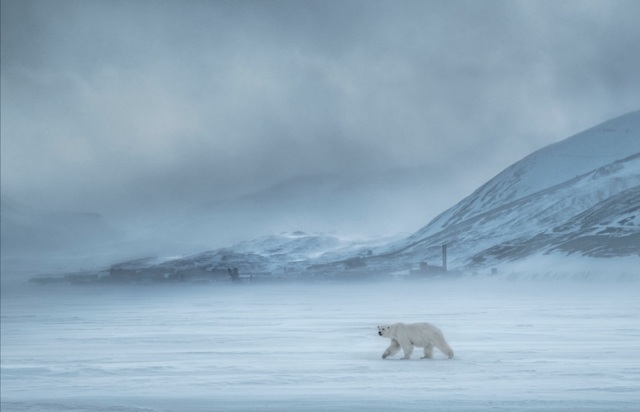 David Yarrow, ‘North of the Wall’, 2019, Hilton Asmus