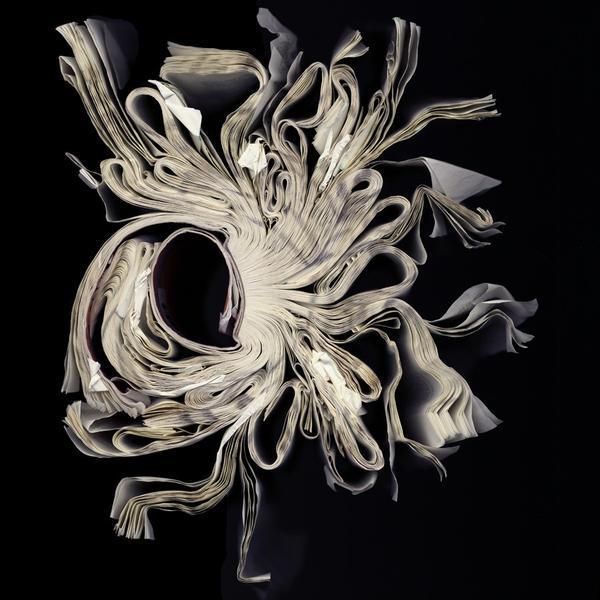 Cara Barer, ‘Anthology’, 2004, Bau-Xi Gallery