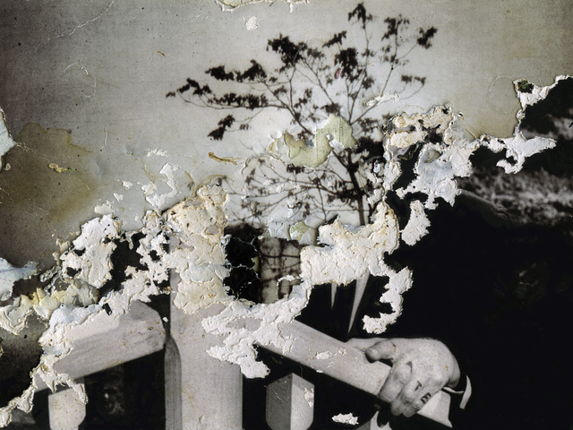 Joan Fontcuberta, ‘Untitled’, 2013-2015, Photography, Giclée print on Hahnemühle paper inside a wooden box frame, Patricia Conde Galería