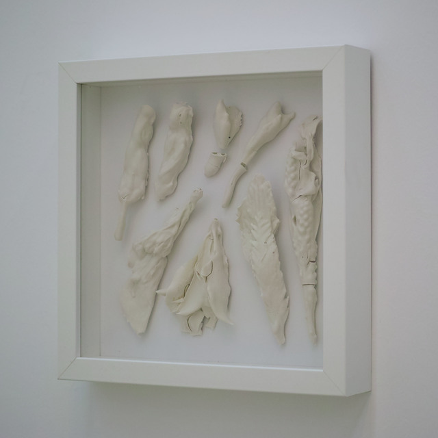 , '干燥植物 Herbarium ,' 2017, Amy Li Gallery