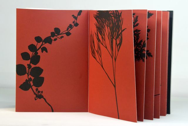Jan Hendrix, ‘Herbier’, 2016, Anémona Editores