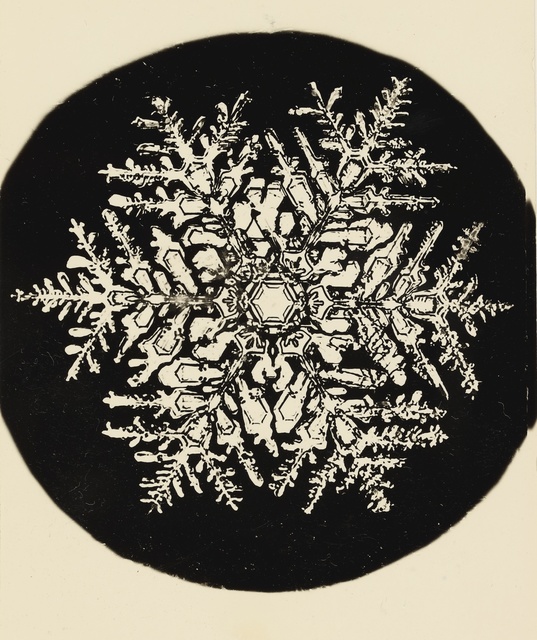 Wilson A. Bentley, ‘Selected Images of Snowflakes’, Sotheby's