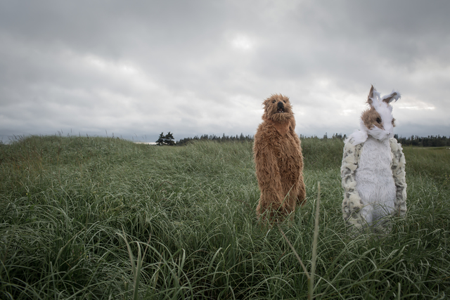 Laura Jane Petelko, ‘Calling From The Wilderness’, 2018, Gitana Rosa Gallery