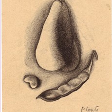 PRIMO CONTI
