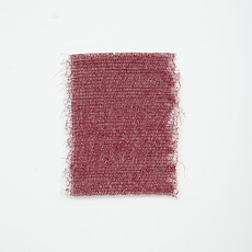 Anina Brisolla