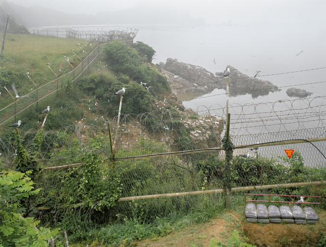 Yishay Garbasz, ‘Seagull migration across mine field near Sabajawi Rock, north shore of Baengnyeongdo’, 2014, Ronald Feldman Gallery