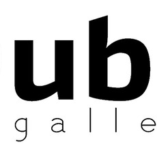 Qube Gallery logo