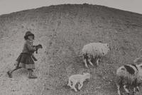 Kami, Bolivia