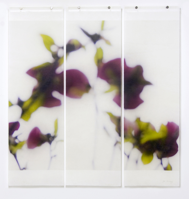 Jeri Eisenberg, ‘Dark Magnolia’, 2016, Photography, Archival ink on kozo paper infused with encaustic medium, Kathryn Markel Fine Arts
