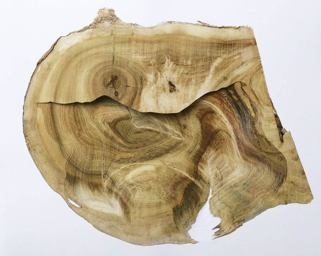 "Roadside tree_041" 3-D wall sculpture unique engraved in layers of photography, 2016 by Nerhol "Roadside tree_041" 3-D wall sculpture unique engraved in layers of photography, 2016 by Nerhol