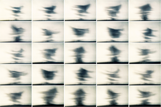 Dalila Gonçalves, ‘Arquivos de sombra’, Rafael Ortiz