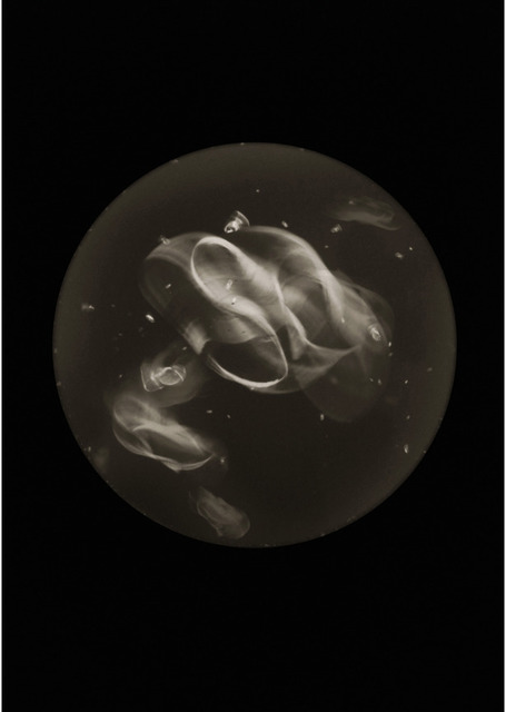 Mandy Barker, ‘Aureplia auristice’, 2015, Photography, Archival Pigment Print, East Wing