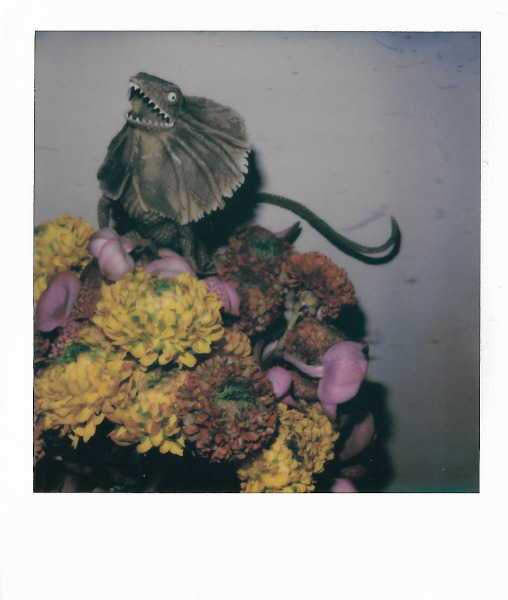 Nobuyoshi Araki, ‘Untitled’, 2017-2019, Galerie Écho
