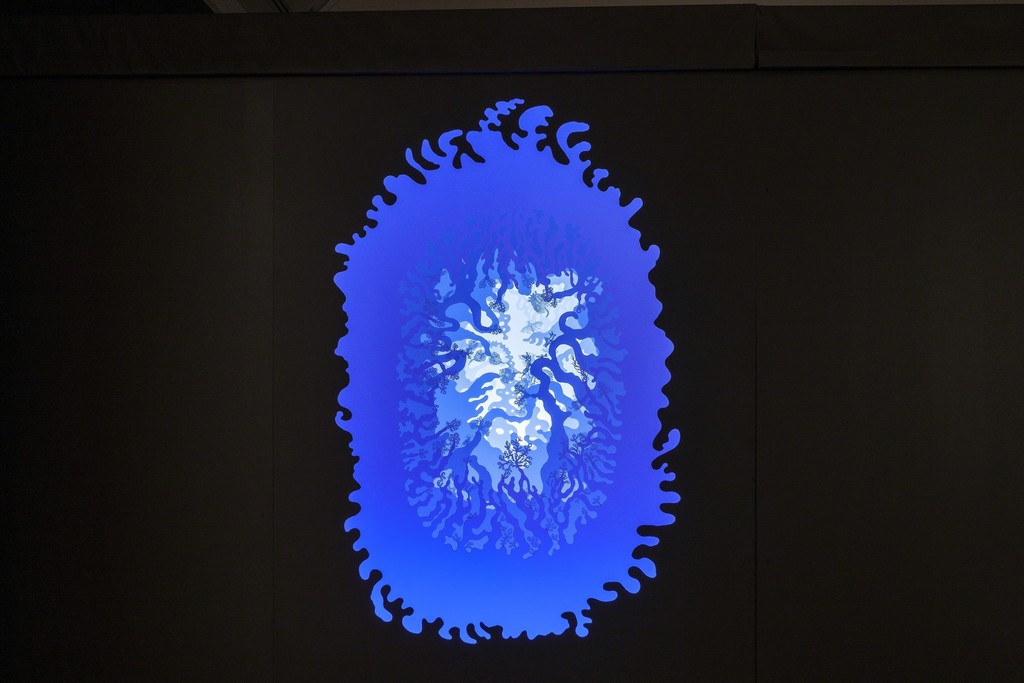 Andrea Dezsö: Dreamtime Installation view at the Virginia Museum of Contemporary Art (MOCA). Photograph by Glen McClure Andrea Dezsö: Dreamtime Installation view at the Virginia Museum of Contemporary Art (MOCA). Photograph by Glen McClure