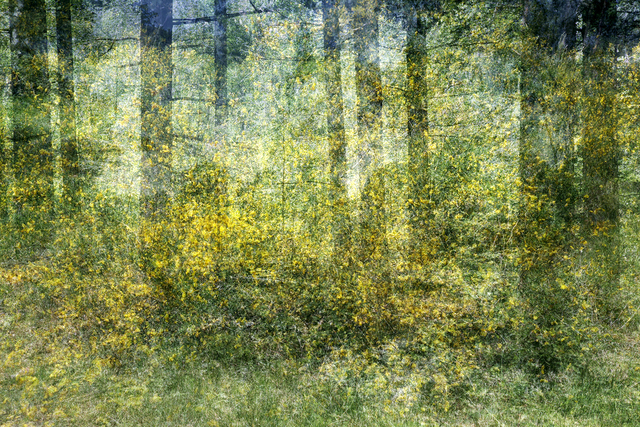 Kim Boske, ‘Untitled (Bikbergen)’, 2015, Photography, C-print in artist frame, AANDO FINE ART