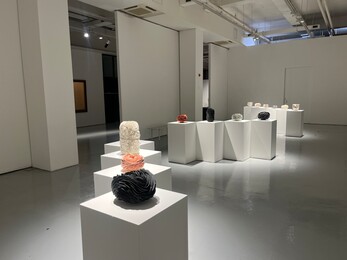 Gallery LVS