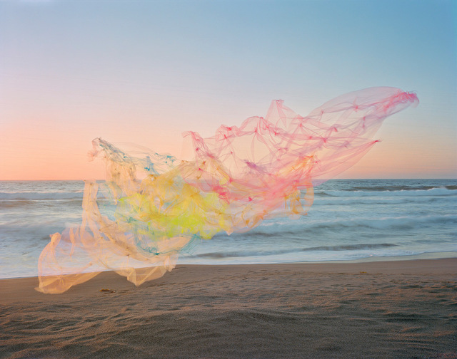 Thomas Jackson (b.1971), ‘ Tulle no. 18, Point Reyes National Seashore, California’, 2020, Photography, Archival pigment print, Jackson Fine Art