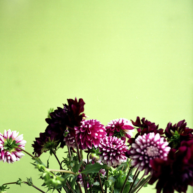 John Arsenault, ‘Tate, Flowers’, 2003, ClampArt