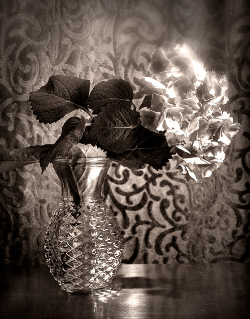 Leslie Hanes, ‘Hydrangea with Cut Glass Vase ’, 2020, Photography, Silver gelatin print, hand toned, Soho Photo Gallery