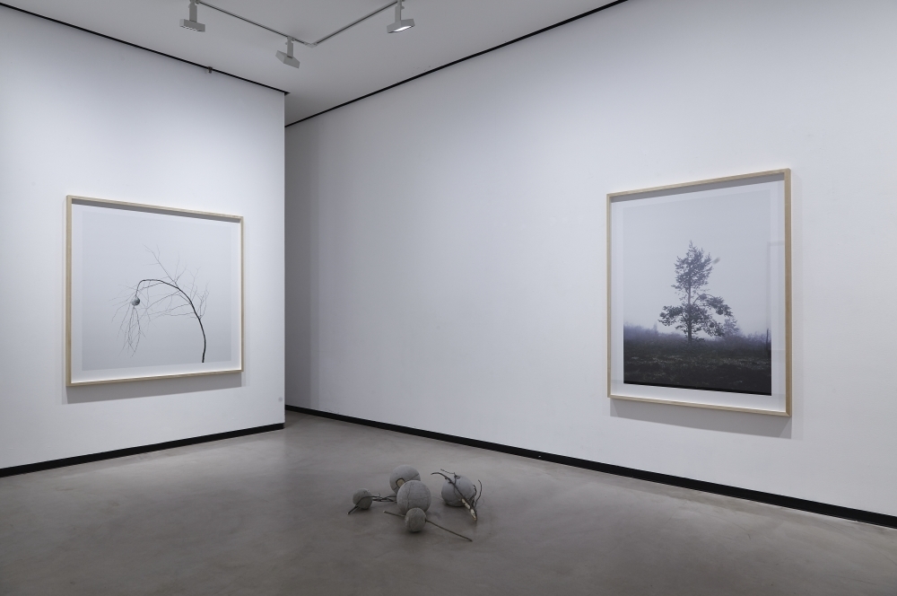 Axel Antas, Uncanny Valley, 4.2. - 26.2.2017 Axel Antas, Uncanny Valley, 4.2. - 26.2.2017