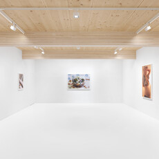 Roe Ethridge: Happy Birthday Louise Parker II