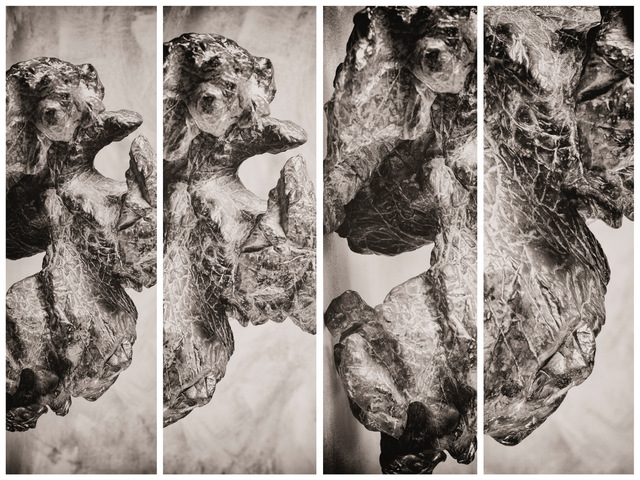 Daniel Eskenazi 丹尼爾·埃斯肯納茨, ‘Synoptikos IV’, 2019, Photography, Inkjet print on handmade archival Kozo paper, Rasti Chinese Art