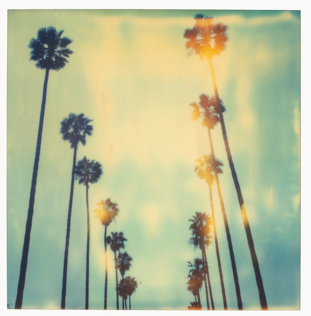 Stefanie Schneider, ‘Palm Trees on Wilcox - sold out Edition of 10, Artist Proof 2/2 (last) - analog’, 1999, Instantdreams