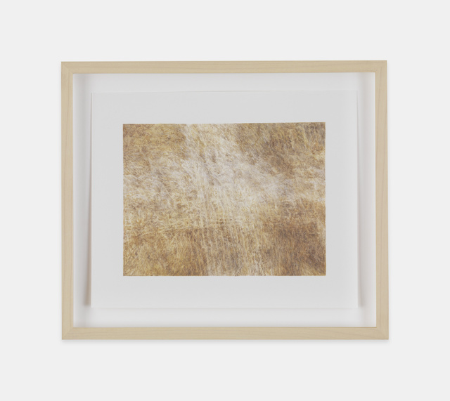 Ellen Altfest, ‘Stripe’, 2017, Drawing, Collage or other Work on Paper, Coloured pencil on paper, White Cube