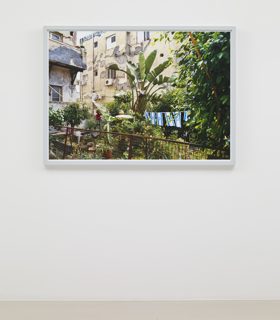 Thomas Struth, ‘Front Yard, Tel Aviv’, 2014, Marian Goodman Gallery