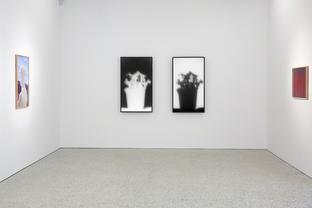 Image courtesy of BERG Contemporary and Vigfús Birgisson. Image courtesy of BERG Contemporary and Vigfús Birgisson.