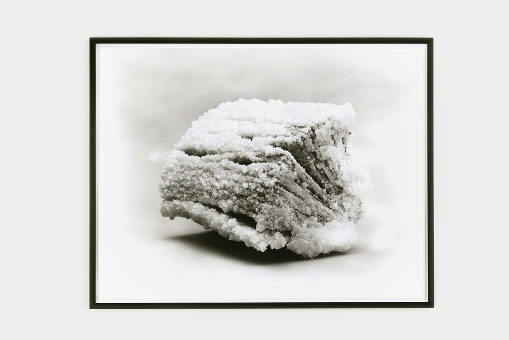 Tacita Dean, The Book End of Times, 2013, Credit Christian Kain, Courtesy Fondation Louis Vuitton Tacita Dean, The Book End of Times, 2013, Credit Christian Kain, Courtesy Fondation Louis Vuitton