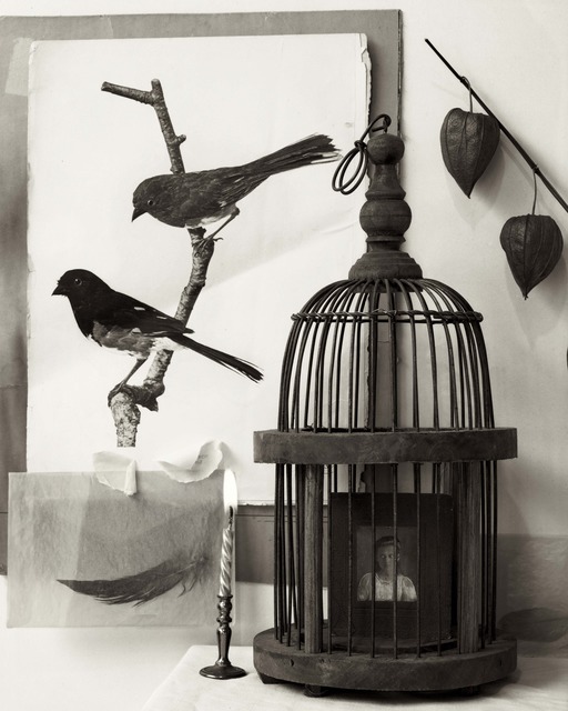 Zoë Zimmerman, ‘Two Birds and Cage’, photo-eye Gallery
