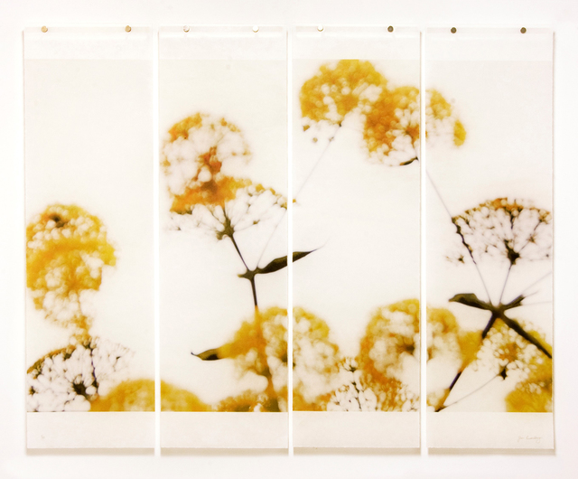 Jeri Eisenberg, ‘Wild Fennel No. 4’, 2018, Carrie Haddad Gallery