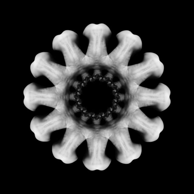 Federico Bianchi, ‘ Body Mandala #BA12 ’, 2015, Photography, Lambda C-print on Metallic Paper, SmithDavidson Gallery