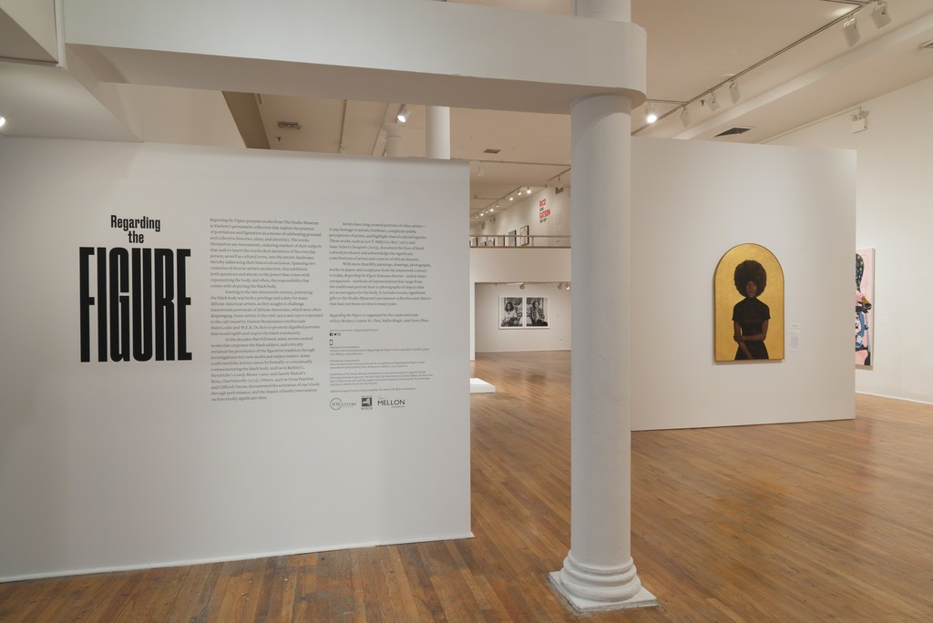 Regarding the Figure (installation view). The Studio Museum in Harlem, April 20–August 6, 2017; Photo: Adam Reich
Regarding the Figure (installation view). The Studio Museum in Harlem, April 20–August 6, 2017; Photo: Adam Reich