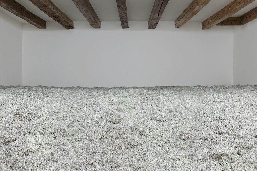 Christodoulos Panayiotou. 2008, 2008, shredded paper (Cypriot pounds), dimensions variable. Photo by Aurelien Mole Christodoulos Panayiotou. 2008, 2008, shredded paper (Cypriot pounds), dimensions variable. Photo by Aurelien Mole